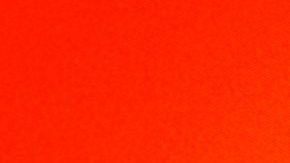 Courtesy of the artist