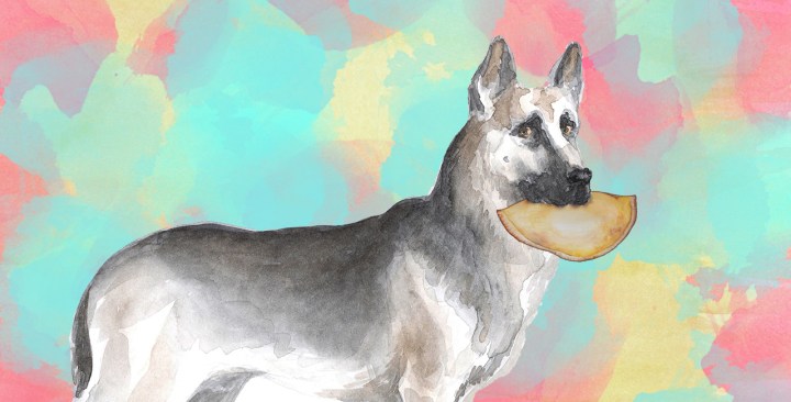 Art by Alan López for Remezcla