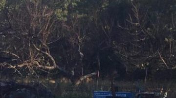 La Llorona. Courtesy of the artist