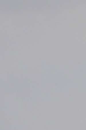 Photo by John Moore / Staff / Getty Images News