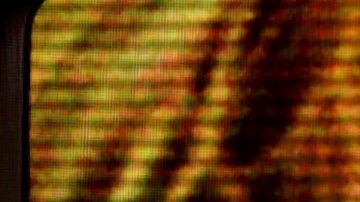 De La Ghetto, Bad Bunny, Wisin, Arcangel and Ozuna perform on stage during Univision's "Premios Juventud" 2017 Celebrates The Hottest Musical Artists And Young Latinos Change-Makers at Watsco Center on July 6, 2017 in Coral Gables, Florida. Photo by Rodrigo Varela/Getty Images Entertainment