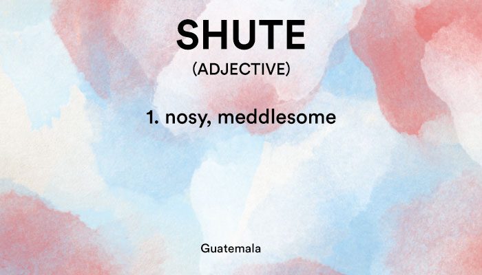 shute