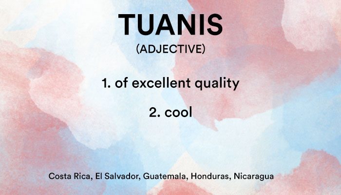 tuanis