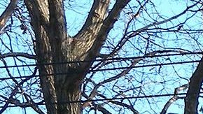 Cliffside Park High School. Photo by Jim Henderson, licensed under CC 1.0