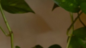 Erika L. Sanchez, author headshot.