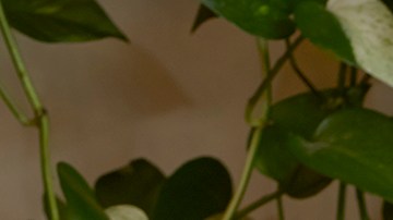 Erika L. Sanchez, author headshot.