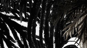 'Virus Tropical' still courtesy of Animation is Film Festival