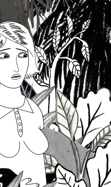 'Virus Tropical' still courtesy of Animation is Film Festival