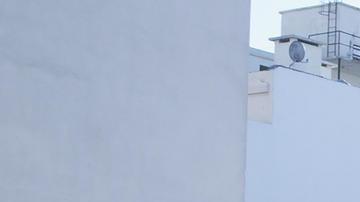 'All Over the Place' Courtesy of IFFR