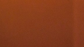 Creative Commons "Azealia Banks 2012 NME Awards" by Tim Boddy is licensed under CC BY 2.0