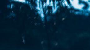 Photo by Pablo Naranjo. Courtesy of AYA Records