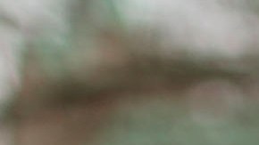 Luna Miller holds a anti gun sign while participating in a rally and march across the Brooklyn Bridge with One Million Moms for Gun Control. Photo by Spencer Platt/Getty Images News