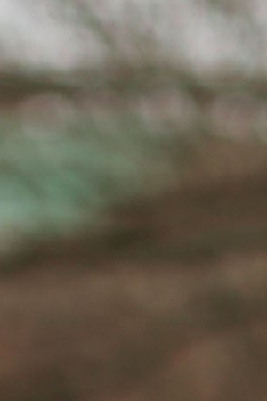 Luna Miller holds a anti gun sign while participating in a rally and march across the Brooklyn Bridge with One Million Moms for Gun Control. Photo by Spencer Platt/Getty Images News