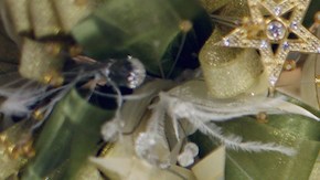 Photo by 	GemaBlanton/	iStock / Getty Images Plus