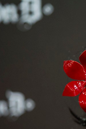 Tattoo artist and television personality Kat Von D is pictured as she meets her fans at the Kat Von D Beauty UK launch at Debenhams, Oxford Street. Photo by Jack Taylor/Getty Images for Kat Von D Beauty