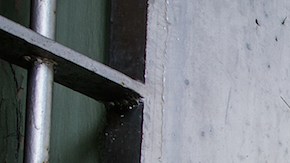 Photo by txking/iStock / Getty Images Plus