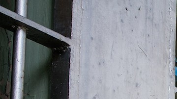 Photo by txking/iStock / Getty Images Plus