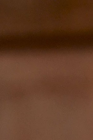 Photo by Matt Winkelmeyer/Getty Images Entertainment