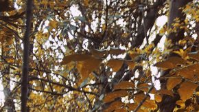 Photo by Hugo Rubiano. Courtesy of Ghetto Kumbé