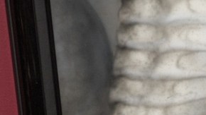 Portrait of Guillermo del Toro at Bleak House. Photo © Josh White/ JWPictures.com. Courtesy of AGO