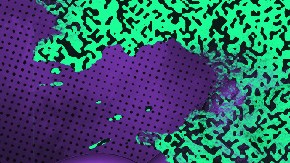 Art by Alan Lopez for Remezcla