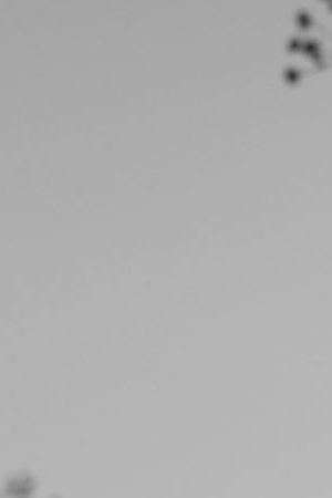 Jadir Zarate. Courtesy of the artist