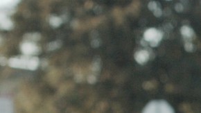 'Love, Cecy' still courtesy of Jay Francisco López