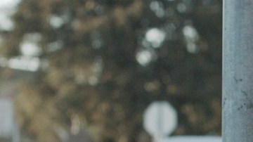 'Love, Cecy' still courtesy of Jay Francisco López