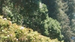 Photo by Misoh. Courtesy of Kelman Duran