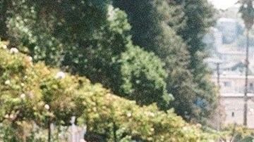 Photo by Misoh. Courtesy of Kelman Duran