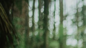 Photo by Nu Abe. Courtesy of the artist