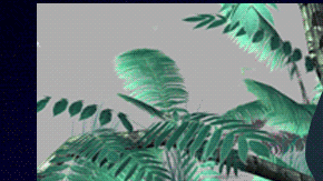 GIF by Alan Lopez for Remezcla