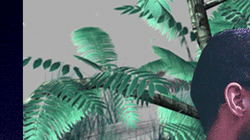GIF by Alan Lopez for Remezcla