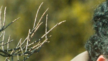 'Hombre' courtesy of NYFF