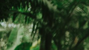 Photo by Nu Abe. Courtesy of Linn da Quebrada