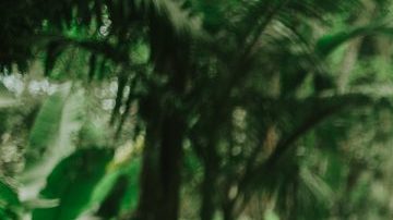 Photo by Nu Abe. Courtesy of Linn da Quebrada