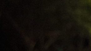 Paul Marmota. Courtesy of the artist