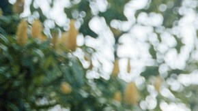 From the 'Buena Vista 504' series, photo by Paula Abreu Pita. Courtesy of Fotos-Féminas