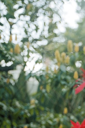 From the 'Buena Vista 504' series, photo by Paula Abreu Pita. Courtesy of Fotos-Féminas