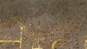 This image is in the public domain.