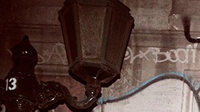 Courtesy of Protistas