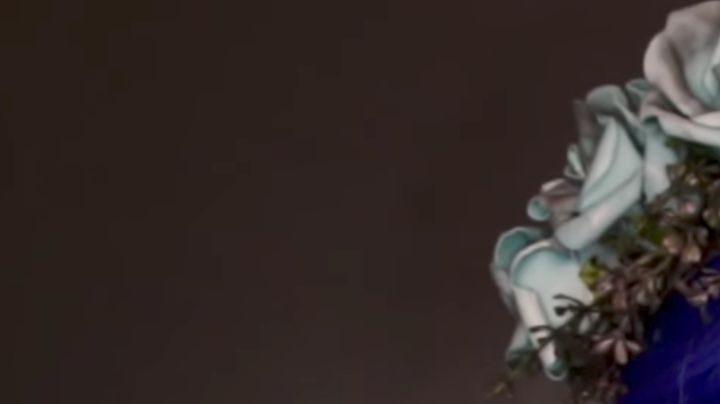 Renata Monteiro as the 'Corpse Bride'. Screenshot from Renata Monteiro youtube.