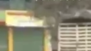 Screenshot from Despierta Bogota