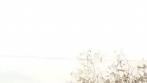 Screensht from Despierta Bogotá