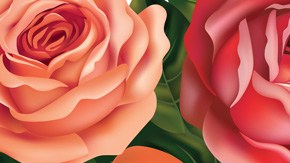 Art by Alan Lopez for Remezcla