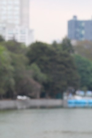 Courtesy of Traziende Films