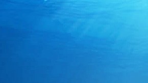 Art by Alan López for Remezcla