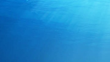 Art by Alan López for Remezcla