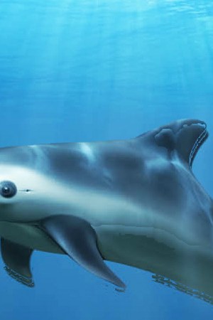 Art by Alan López for Remezcla