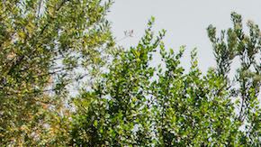 Mala Muñoz and Diosa Femme of Locatora Radio. Photo by Zuly de la Rose. Courtesy of Locatora Radio